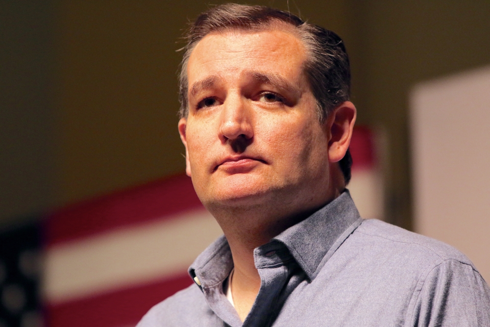 Ted Cruz's campaign has aggressively pursued big data analytics for competitive advantage
