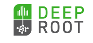 Deep Root Logo