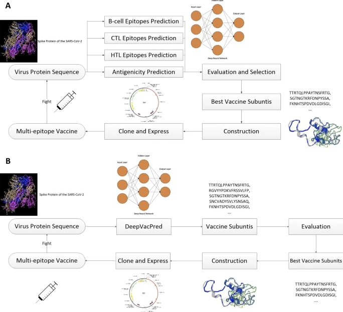 USC’s AI Framework Pushes Back Against COVID-19 Variants